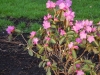 dscn0540