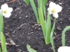 dscn0542