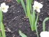 dscn0543
