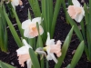 dscn0544