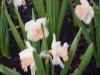 dscn0545