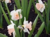 dscn0546