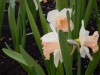 dscn0547