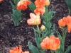 dscn0548