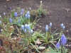 dscn0562