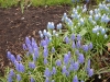 dscn0570