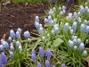 dscn0573