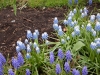 dscn0574