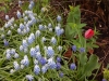 dscn0577