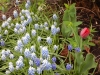 dscn0579