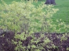 dscn0587