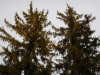 dscn0588