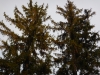 dscn0589