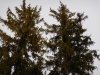 dscn0590
