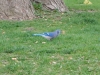 dscn0512