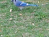 dscn0513