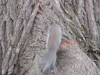 dscn0515