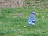 dscn0516
