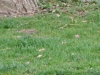 dscn0517