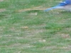 dscn0521