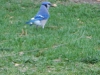 dscn0522