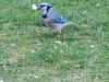 dscn0524