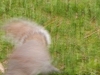 dscn0525