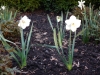 dscn0527