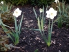 dscn0528