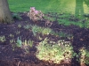 dscn0536