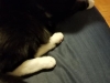 03