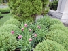 dscn0752
