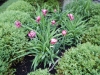 dscn0755