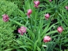 dscn0757