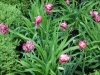 dscn0758