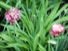dscn0760