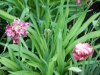 dscn0761