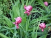 dscn0764