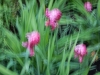 dscn0765