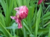 dscn0769