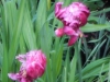 dscn0772