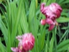 dscn0773