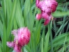 dscn0774