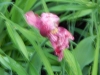 dscn0775