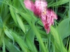 dscn0776