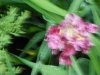 dscn0785