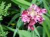 dscn0787
