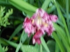 dscn0788