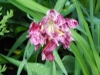 dscn0789