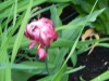 dscn0791